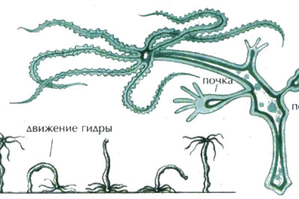 Kraken 15 at сайт