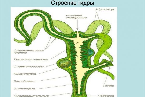 Регистрация на сайте кракен